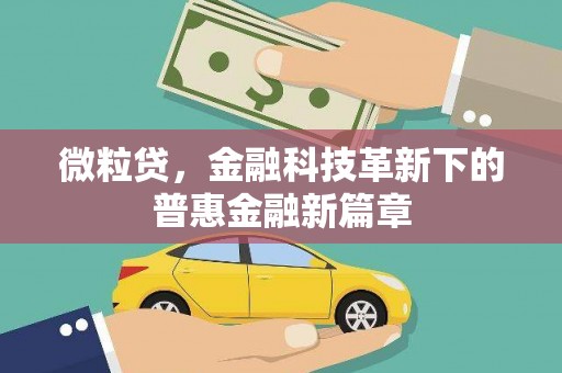 中卫微粒贷，金融科技革新下的普惠金融新篇章