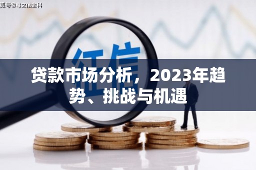 中卫贷款市场分析，2023年趋势、挑战与机遇