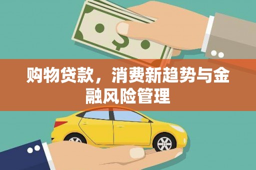 中卫购物贷款，消费新趋势与金融风险管理
