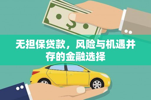 中卫无担保贷款，风险与机遇并存的金融选择