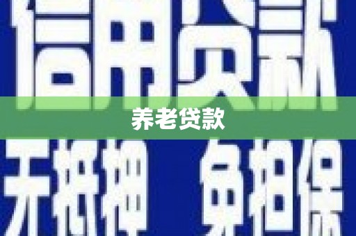 中卫养老贷款