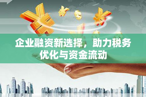 中卫企业融资新选择，助力税务优化与资金流动