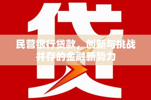 中卫民营银行贷款，创新与挑战并存的金融新势力