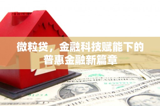 中卫微粒贷，金融科技赋能下的普惠金融新篇章