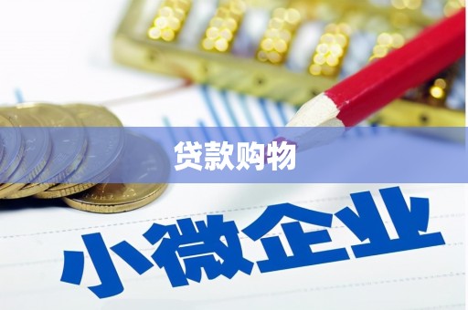 中卫贷款购物