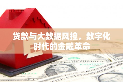 中卫贷款与大数据风控，数字化时代的金融革命