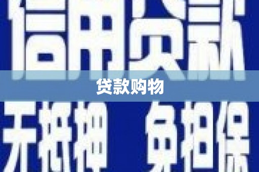 中卫贷款购物