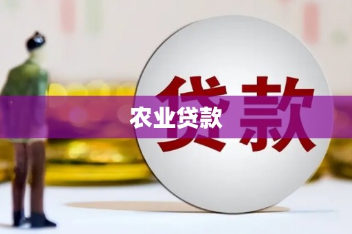 中卫农业贷款