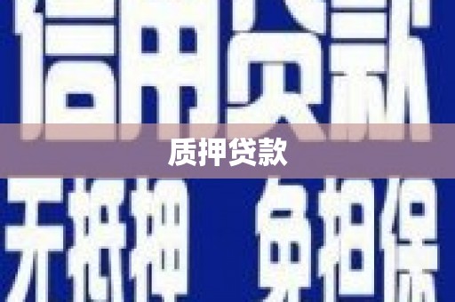 中卫质押贷款