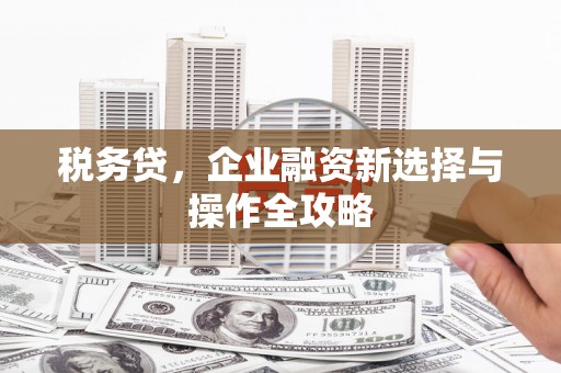 中卫税务贷，企业融资新选择与操作全攻略