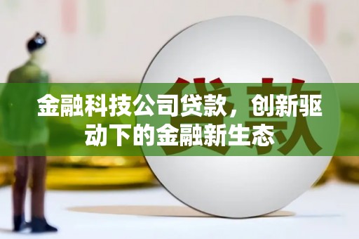 中卫金融科技公司贷款，创新驱动下的金融新生态