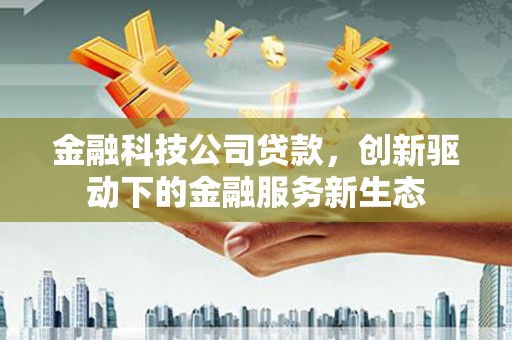 中卫金融科技公司贷款，创新驱动下的金融服务新生态
