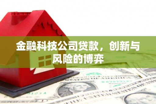 中卫金融科技公司贷款，创新与风险的博弈