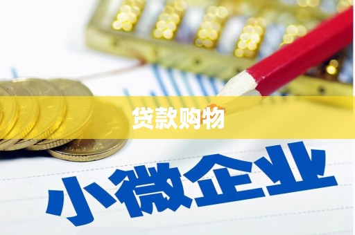 中卫贷款购物