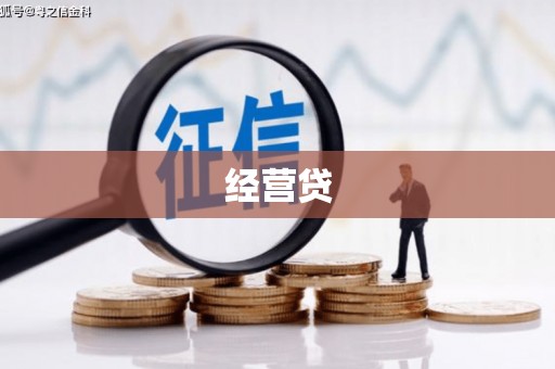 中卫经营贷