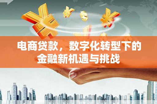 中卫电商贷款，数字化转型下的金融新机遇与挑战
