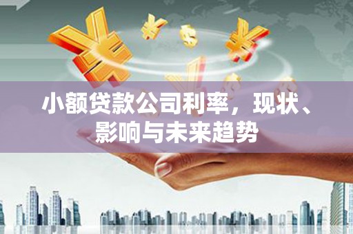 中卫小额贷款公司利率，现状、影响与未来趋势