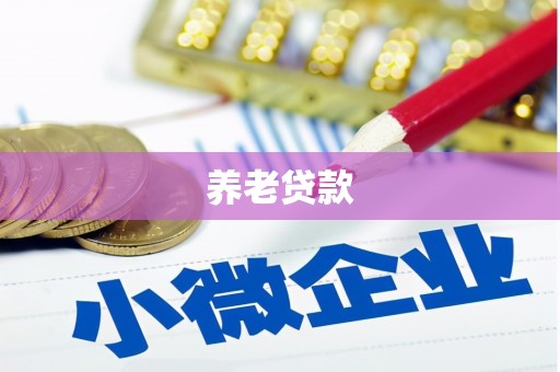 中卫养老贷款