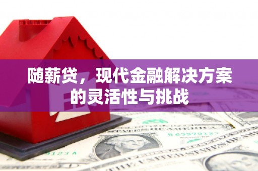 中卫随薪贷，现代金融解决方案的灵活性与挑战