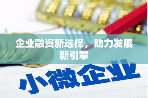 中卫企业融资新选择，助力发展新引擎