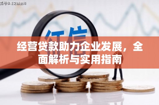 中卫经营贷款助力企业发展，全面解析与实用指南