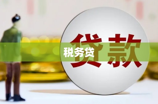 中卫税务贷