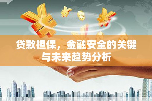 中卫贷款担保，金融安全的关键与未来趋势分析