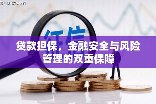 中卫贷款担保，金融安全与风险管理的双重保障