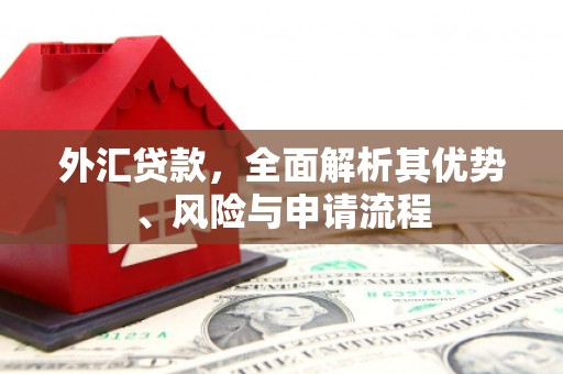 中卫外汇贷款，全面解析其优势、风险与申请流程