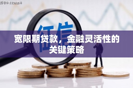 中卫宽限期贷款，金融灵活性的关键策略