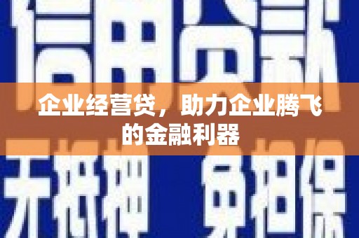 中卫企业经营贷，助力企业腾飞的金融利器