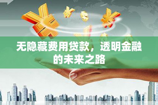 中卫无隐藏费用贷款，透明金融的未来之路