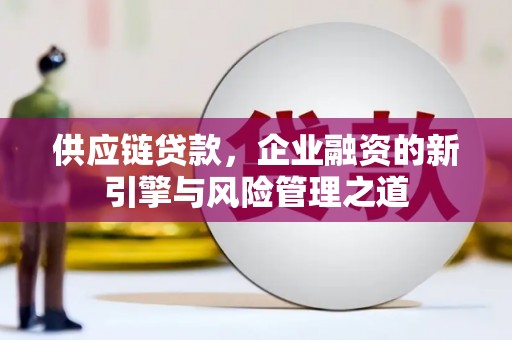 中卫供应链贷款，企业融资的新引擎与风险管理之道
