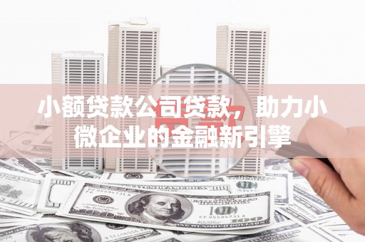 中卫小额贷款公司贷款，助力小微企业的金融新引擎