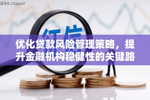 中卫优化贷款风险管理策略，提升金融机构稳健性的关键路径