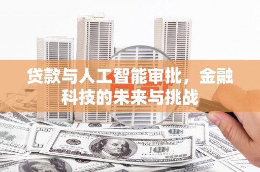 中卫贷款与人工智能审批，金融科技的未来与挑战
