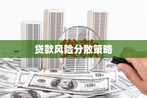 中卫贷款风险分散策略