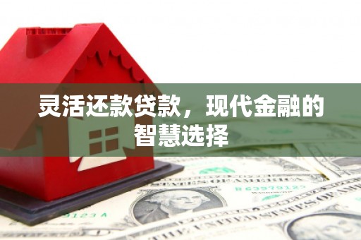 中卫灵活还款贷款，现代金融的智慧选择