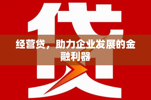 中卫经营贷，助力企业发展的金融利器
