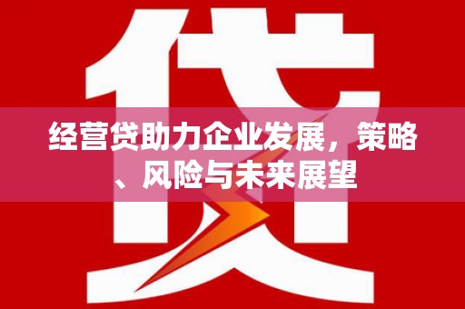 中卫经营贷助力企业发展，策略、风险与未来展望