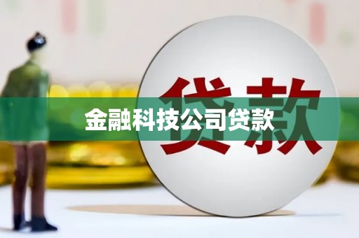 中卫金融科技公司贷款