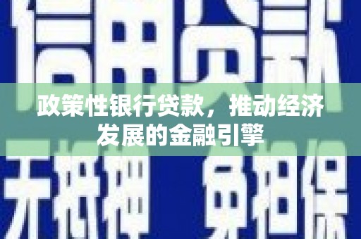 中卫政策性银行贷款，推动经济发展的金融引擎
