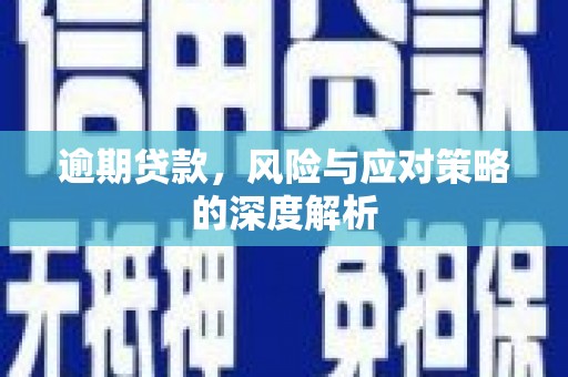 中卫逾期贷款，风险与应对策略的深度解析