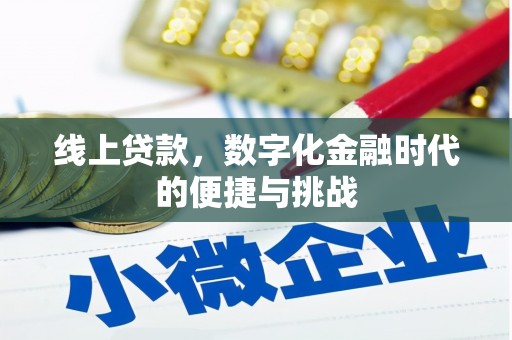 中卫线上贷款，数字化金融时代的便捷与挑战