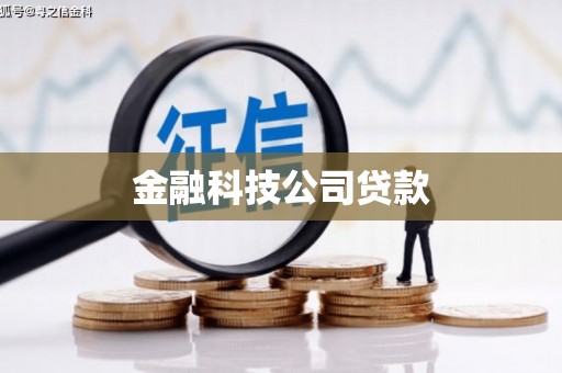 中卫金融科技公司贷款