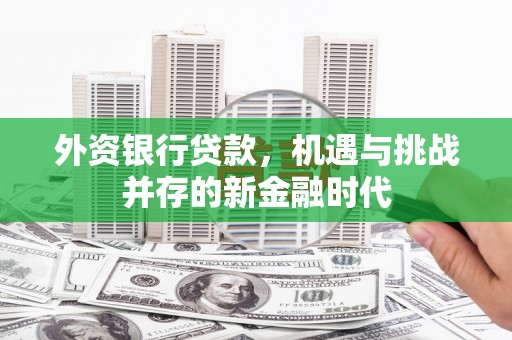 中卫外资银行贷款，机遇与挑战并存的新金融时代
