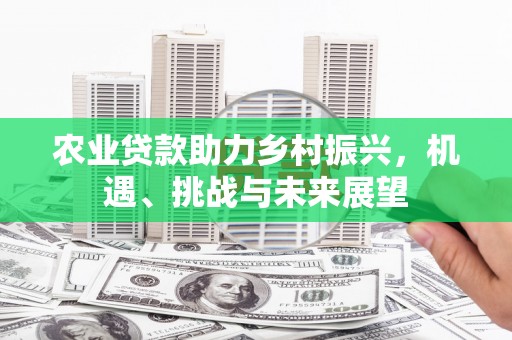 中卫农业贷款助力乡村振兴，机遇、挑战与未来展望