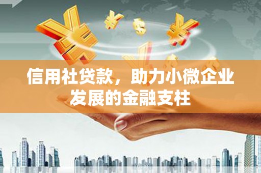 中卫信用社贷款，助力小微企业发展的金融支柱