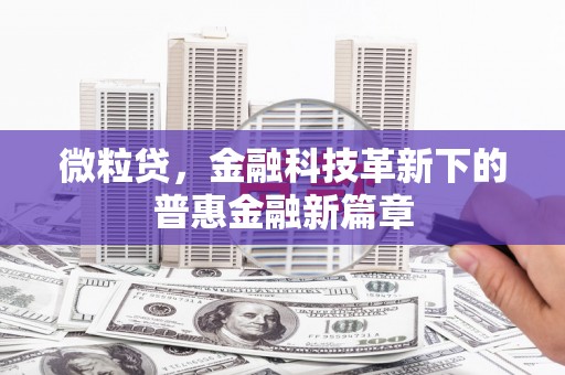 中卫微粒贷，金融科技革新下的普惠金融新篇章