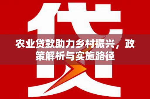 中卫农业贷款助力乡村振兴，政策解析与实施路径